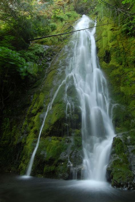 A Waterfall Near Sequim Wa In The Ho National Rainforest Smithsonian