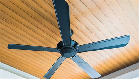 Choosing The Right Ceiling Fan Blade Shield Electrical