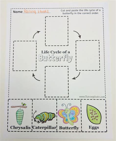 Life Cycle of a Butterfly - Cut and Paste - Raising Hooks