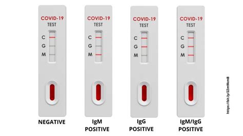 Let's make them legal and widely available. Rapid COVID-19 tests: What negative or positive results ...
