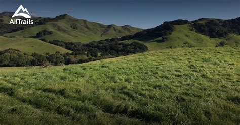 10 Best Trails And Hikes In Moraga Alltrails