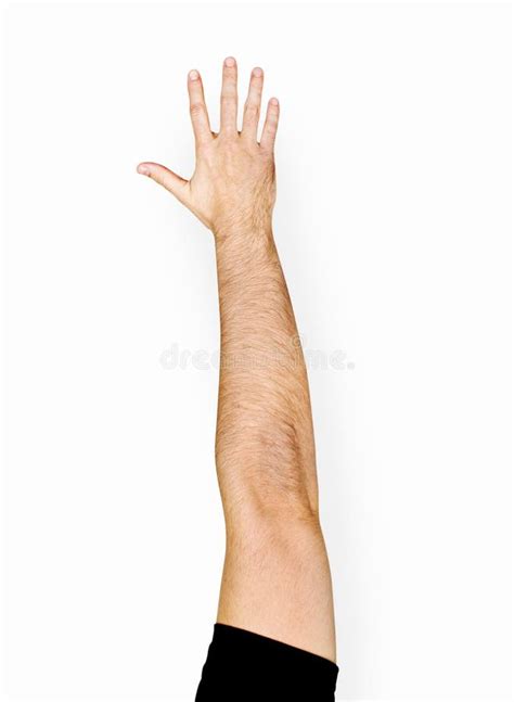 Hand Raised Isolated On White Background Stock Photo Image Of