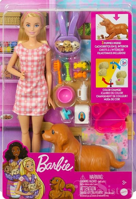 2021 Barbie Doll And Newborn Pups Playset Hck75 Toy Sisters