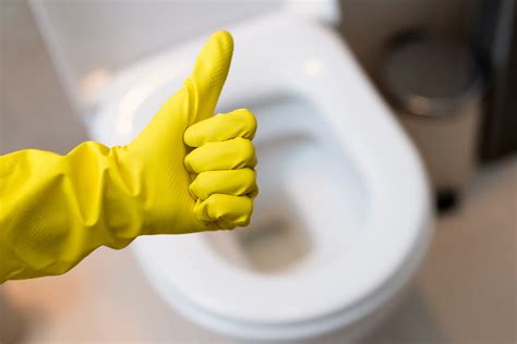 Quick Steps To A Clean Toilet Tidy Habits Busy Lives
