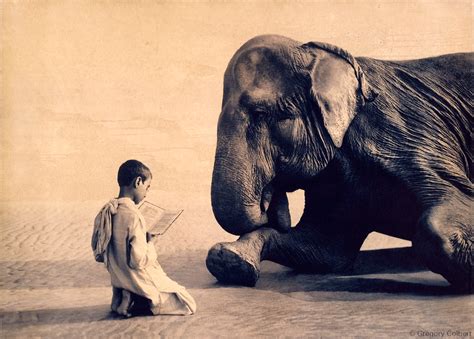 Gregory Colbert Photo Animal Photography Gregory Colbert Animals