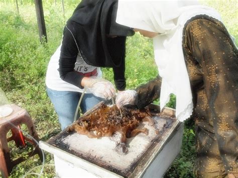 Beberapa kajian telah membuktikan khasiat. it's me diana alim...: Khasiat madu lebah kelulut ...