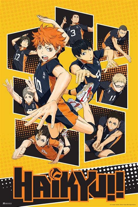 Buy Laminated Haikyuu Poster Karasuno High School Volleyball Team Shoyo