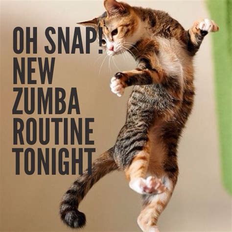 19 Funny Memes About Zumba Factory Memes