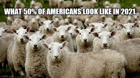 Politics Sheep Memes And S Imgflip