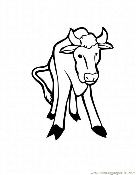 Cattle Coloring Pages Coloring Home