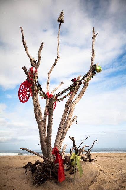 An Outer Banks Christmas Tree Country Christmas Christmas True