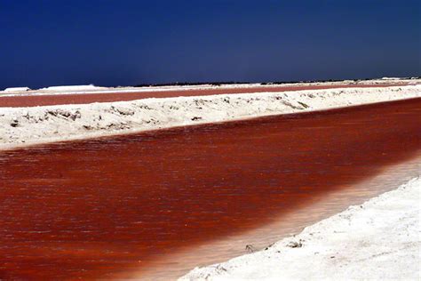 Colorful Ode To Salt Ponds Flickr Blog