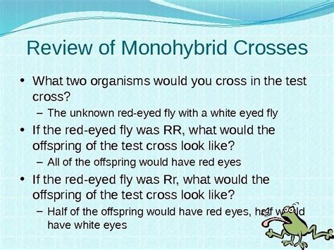 Its phenotypic ratio is 9:3:3:1, where 9 plants have all dominant characteristics and 1 plant has all recessive characteristic. Heredity and Genetics Part Two Dihybrid Crosses