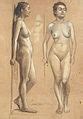 Category Nude Or Partially Nude Women Looking Right In Art Wikimedia