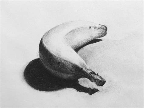 This Banana Study Was Completed In Charcoal As Part Of Drawing