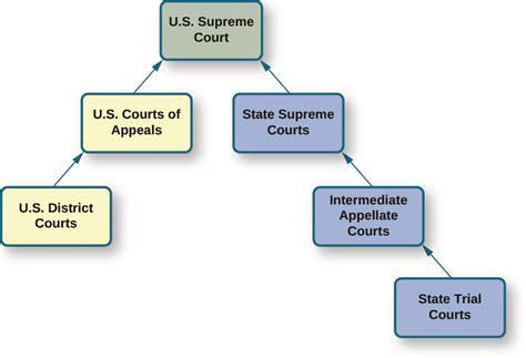 United States Court System Diagram