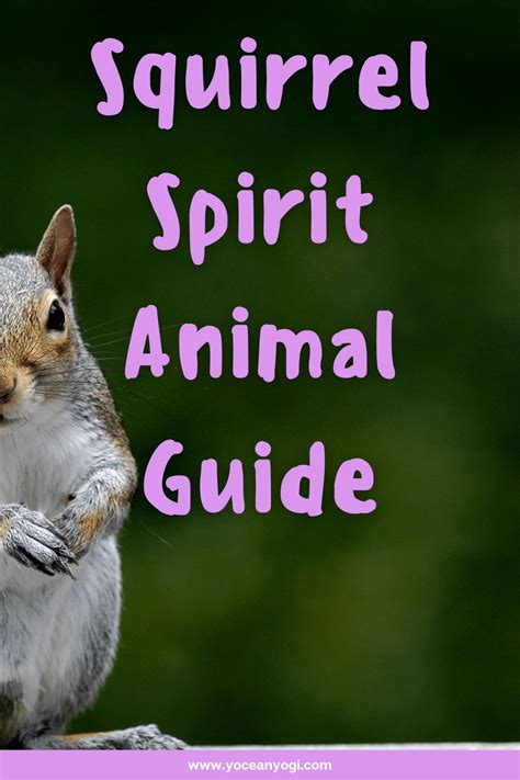 The Squirrel Spirit Animal And Totem Meanings Yocean Yogi
