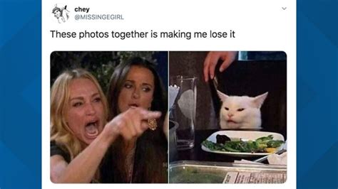 Woman Yelling At Cat Meme How It Started How It Will End