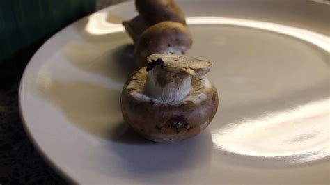 Das ei verliert im laufe der zeit durch die schale feuchtigkeit, es bildet sich eine luftblase im innern des eis. VIDEO: Wann sind Champignons schlecht?