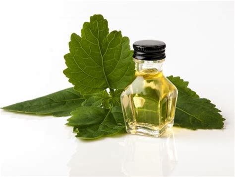 9 Benefits Of Patchouli Essential Oil For Skin Hair And Health