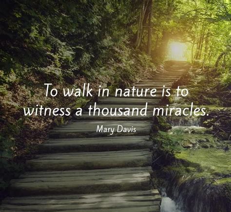 To Walk In Nature Is To Witness A Thousand Miracles Mary Davis