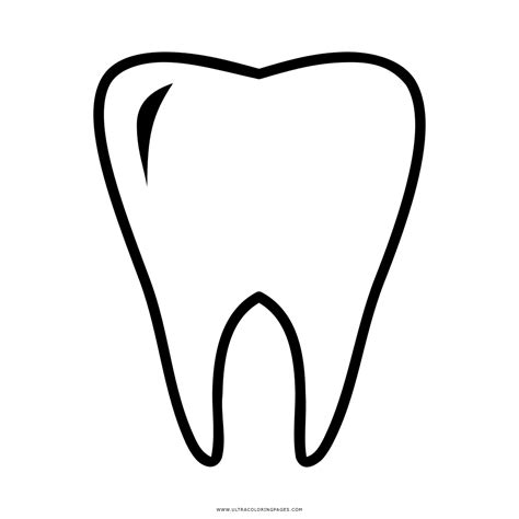 Tooth Clipart Molar Tooth Molar Transparent Free For Download On