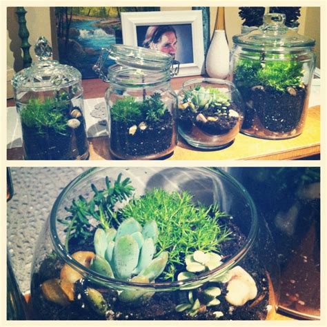 Oh So Darling Diy Moss And Mini Succulent Terrarium