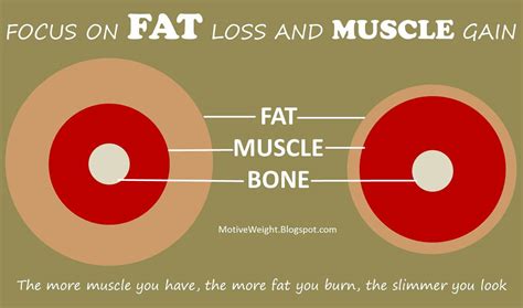Motiveweight Muscle Looks Smaller Than Fat