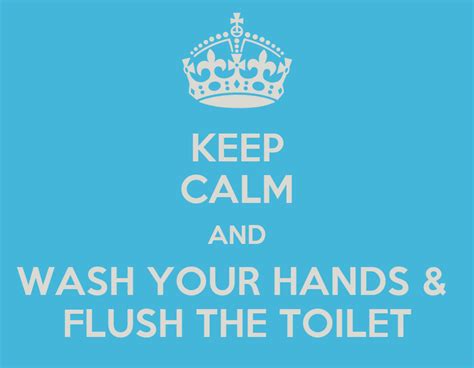 Keep Calm And Wash Your Hands And Flush The Toilet Poster Olayinka