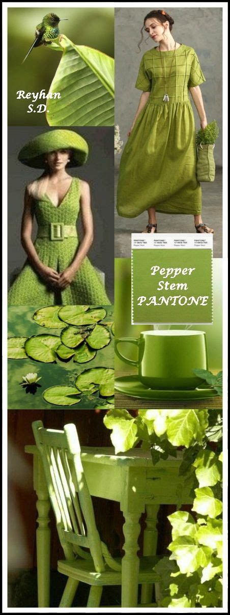 Pepper Stem Pantone Spring Summer 2019 Color By Reyhan Sd
