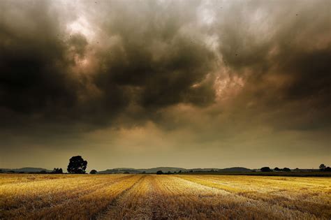 Storm over the field | Cloud photos, Sky and clouds, Clouds