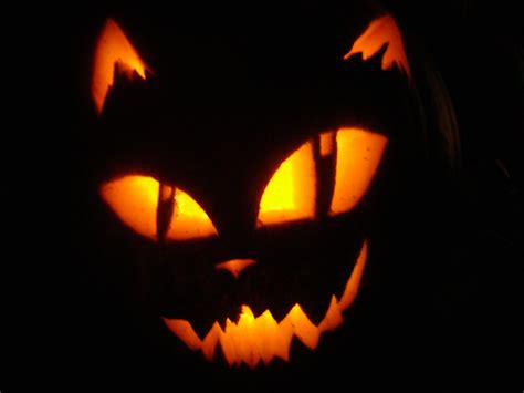 Cat health care & behavior. Cat Punkin by ZipKrash | Amazing pumpkin carving ...