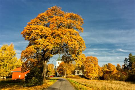 Autumn In The Middle Of Sweden Stock Photo Image Of Famous Autumn