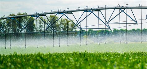 Irrigation Systems What Are They And Why You Need One Agrivi