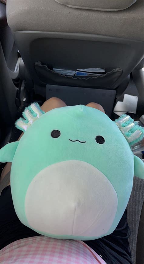 Got Another Squish Today Squishmallow