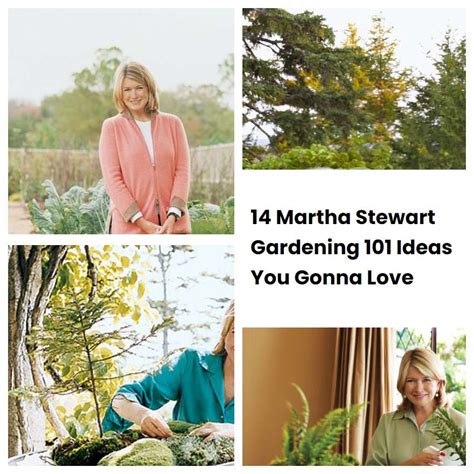 14 Martha Stewart Gardening 101 Ideas You Gonna Love Sharonsable
