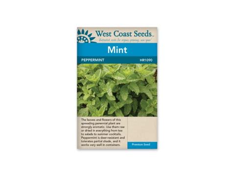 Mint Peppermint West Coast Blue Grass Nursery Sod And Garden Centre