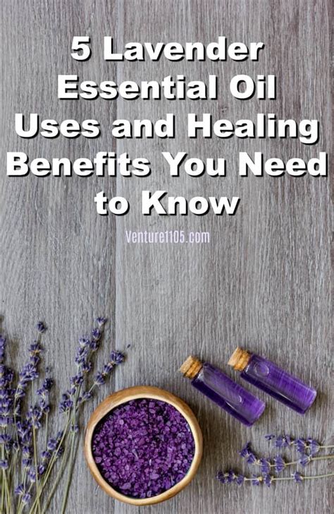 5 lavender essential oils uses and healing benefits you need to know venture1105