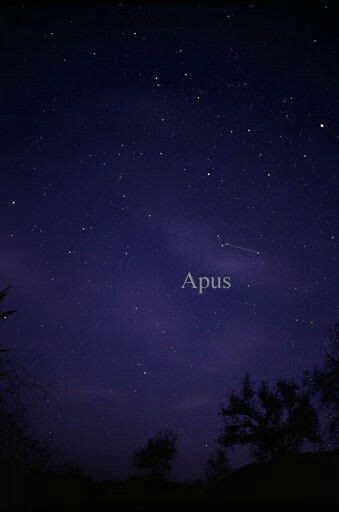 Apus Constellation Carinewbi