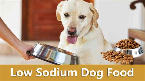 Read the dog food labels and product descriptions to make sure that the food is specifically formulated with lower sodium. Everything You Need to Know About Low Sodium Dog Food ...