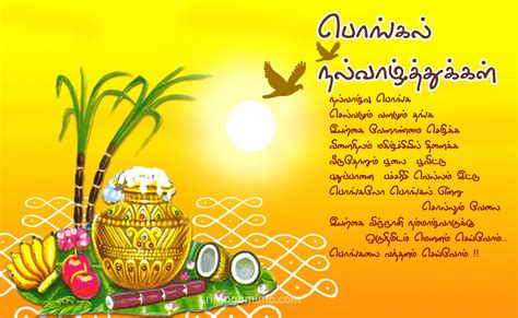 Let us know the special things about this festival celebrated in tamil nadu. Happy Pongal 2020 - Wishes, Images, Quotes, HD Wallpapers ...