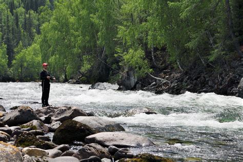 Top Fly Fishing Rivers In Washington State Washington Innsiders