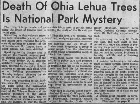 Hilo Tribune Herald Obituaries