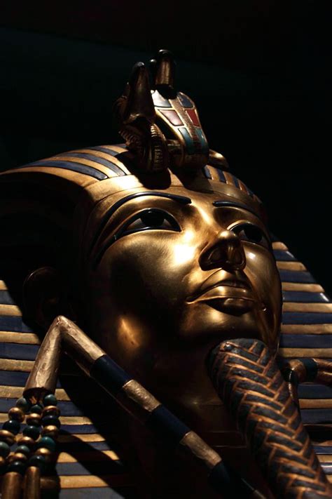 The Curse Of King Tut Facts And Fable Live Science