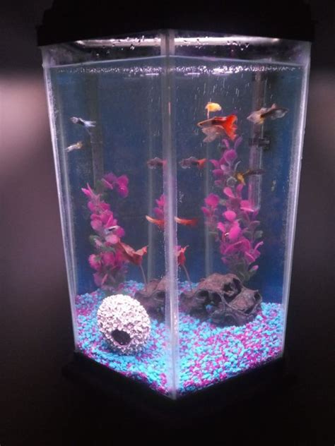 10 Gallon Hexagon Aquarium And Stand Pending Pickup For Sale In