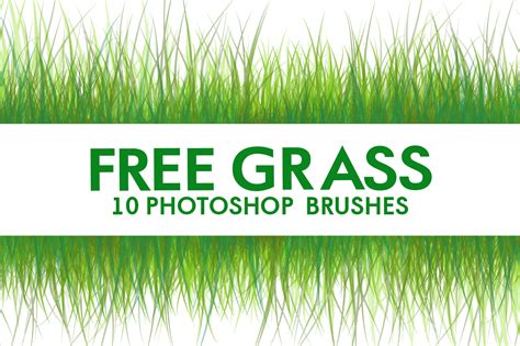 Check spelling or type a new query. Free Download Grass Brush Photoshop|Grass Brush Photoshop ...