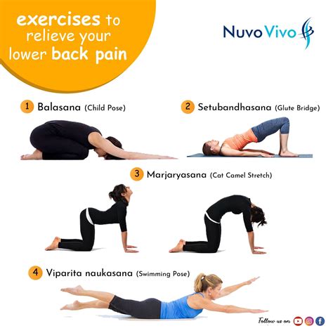 EXERCISES TO RELIEVE YOUR BACK PAIN Lower Back Pain Exercises Back Pain Back Stretches For Pain