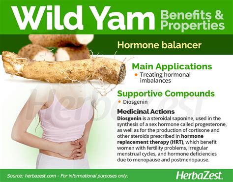 Wild Yam Best 5 Health Benefits Photos