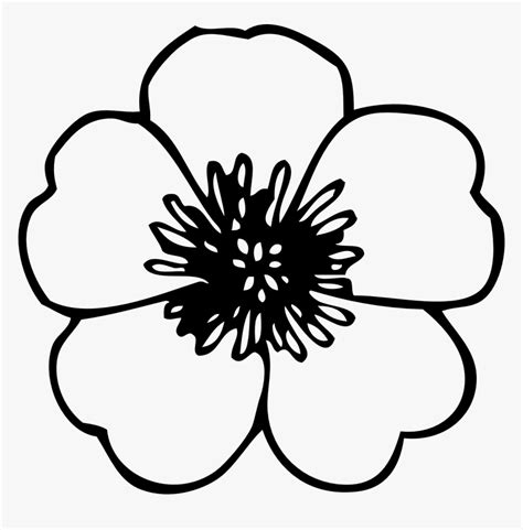 Simple Flower Clipart Black And White Poppies Black And White Hd Png