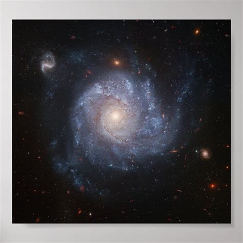 Spiral Galaxy Poster Zazzle